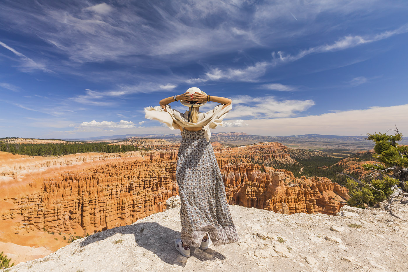 Авто-путешествие по США. Калифорния (11/66)