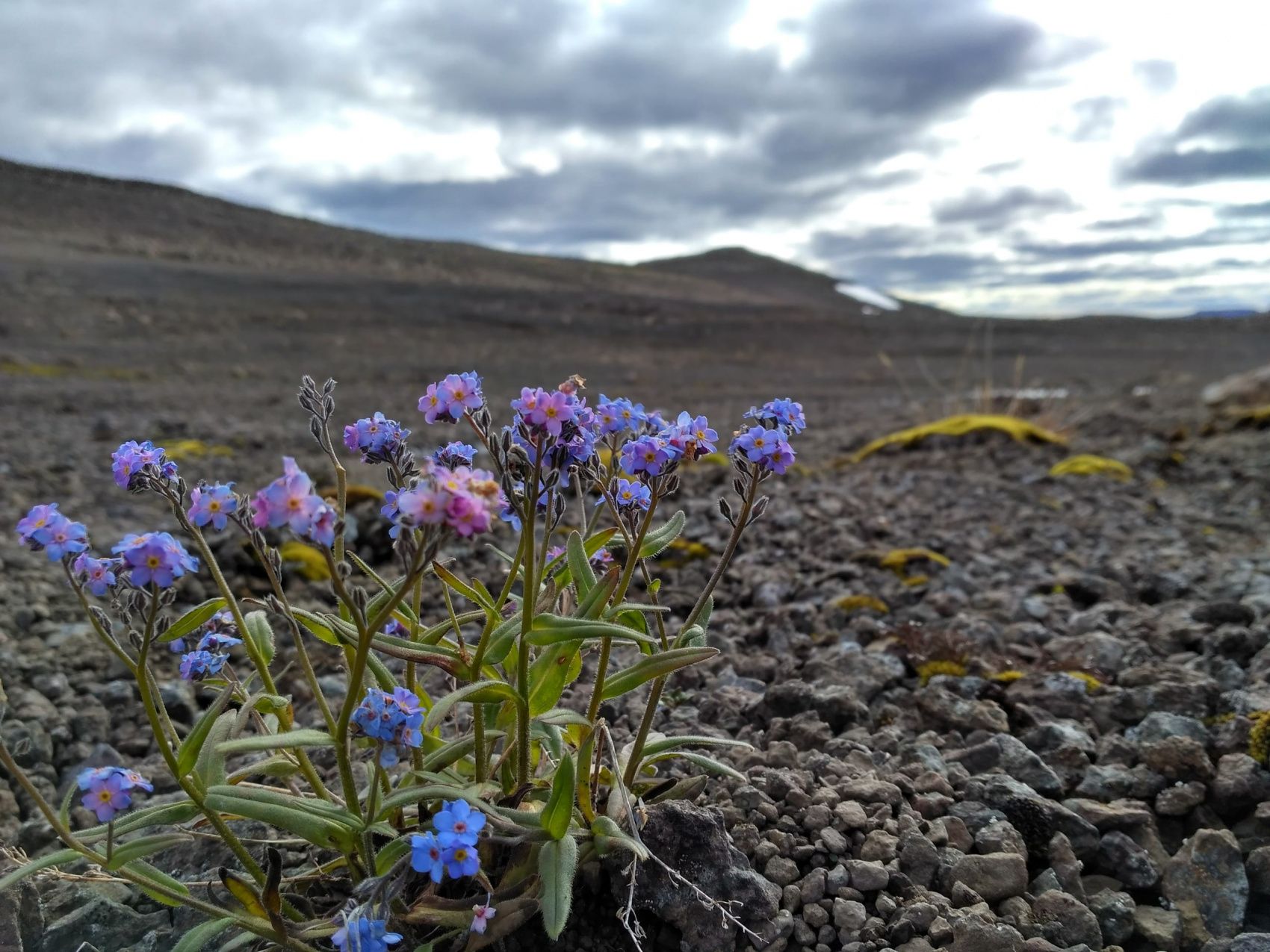 Территория плато Путорана (26/72)