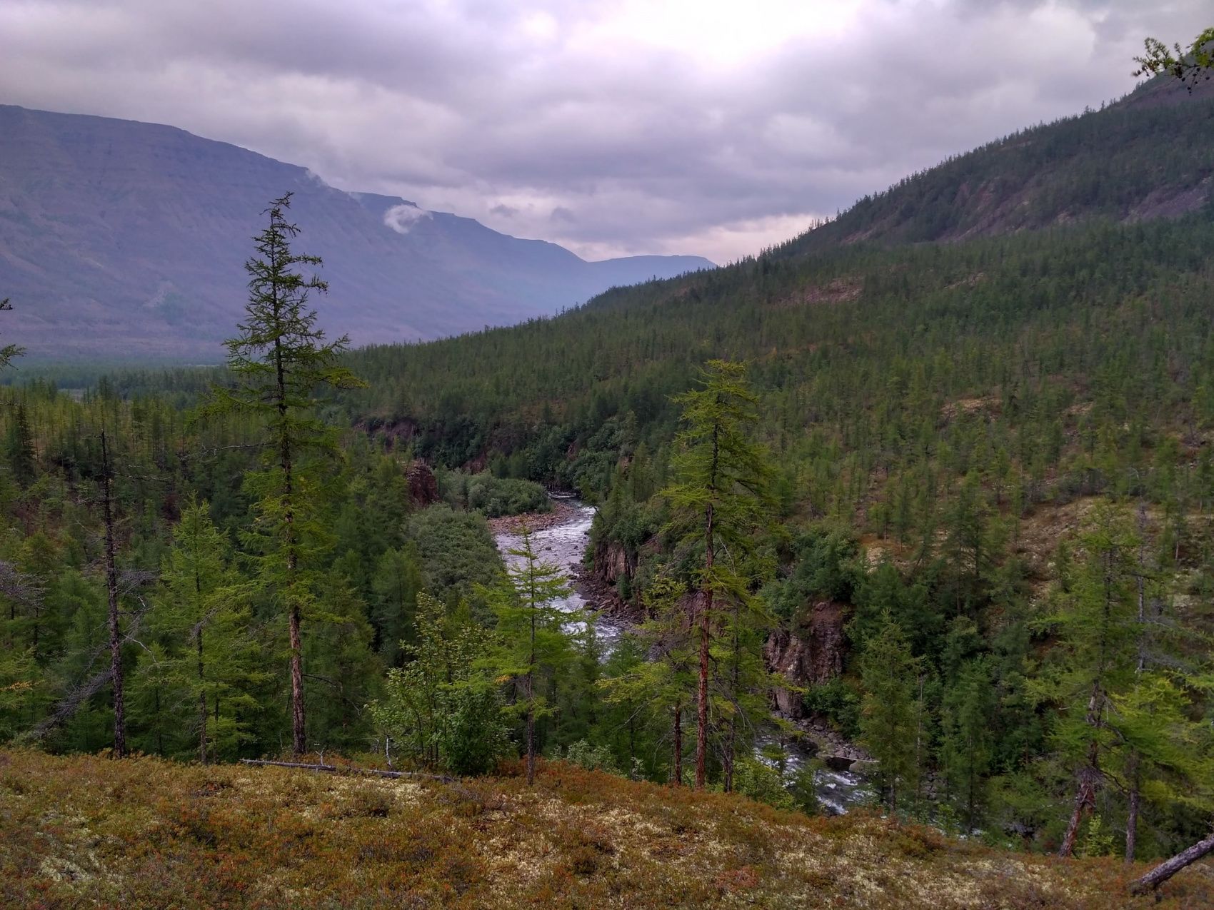 Территория плато Путорана (16/72)