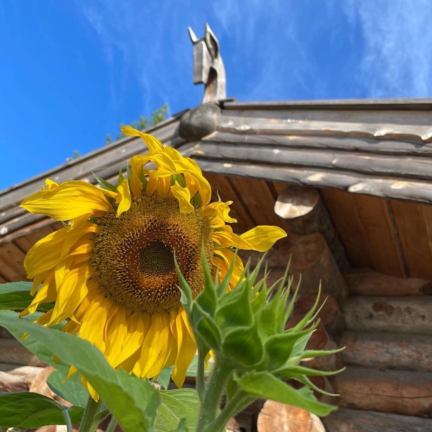 Старая Русса, остров Липно и теплые краски Ильменского глинта (9/23)