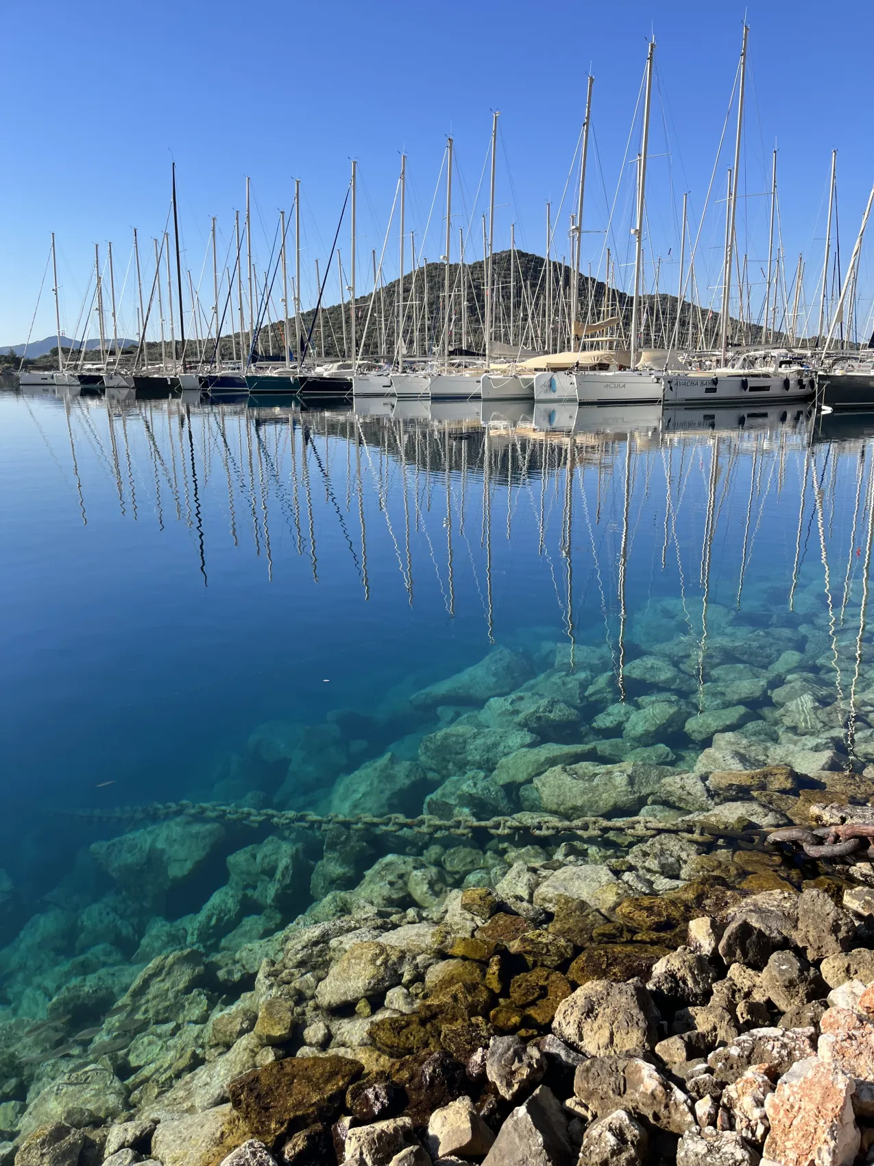 Португалия: яхтенный круиз в поисках китов на Азорах (12/34)