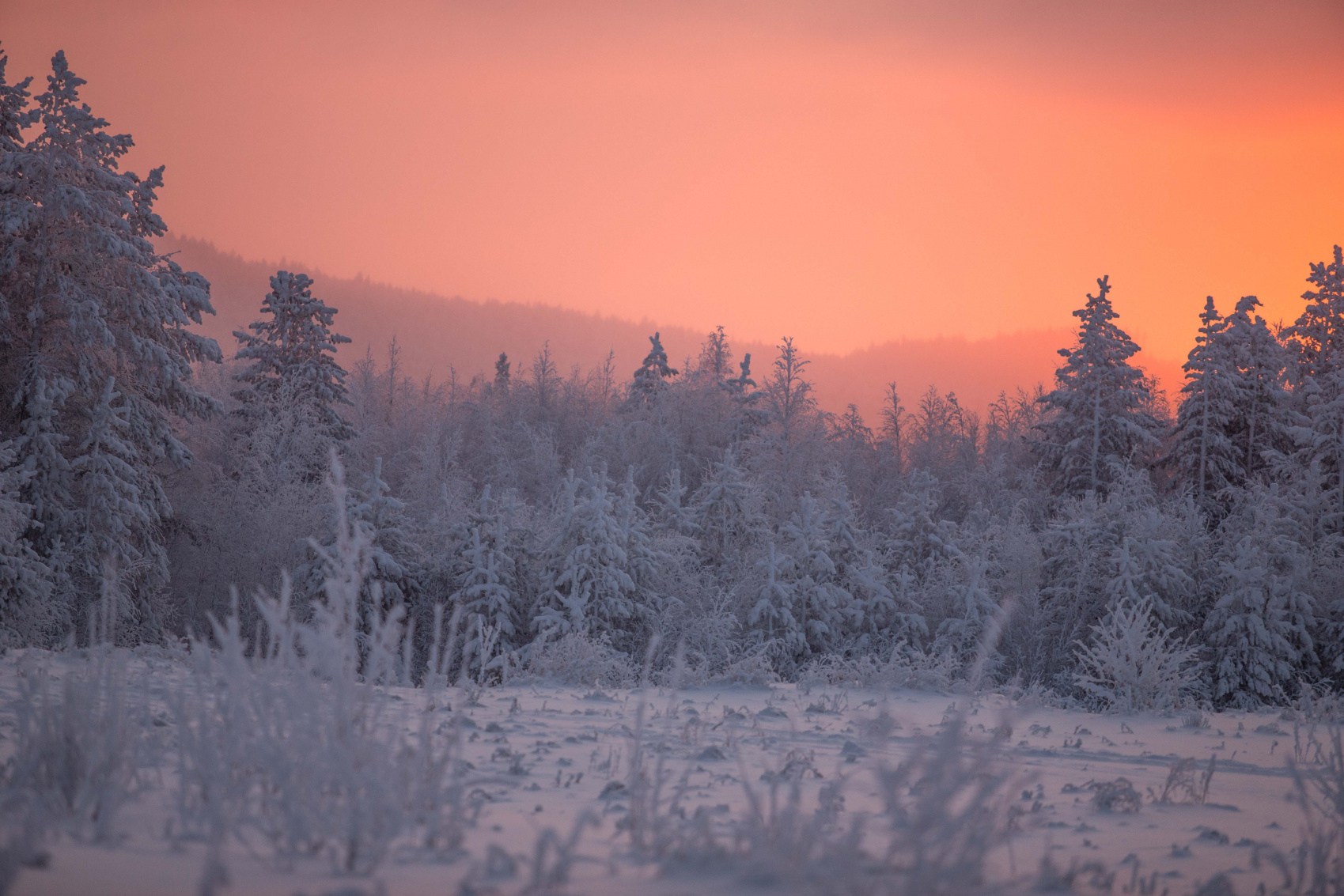 Байкал Бурятия Новый Год Огненной Лошади по Восточному п/о Святой Нос Баргузин (4/78)