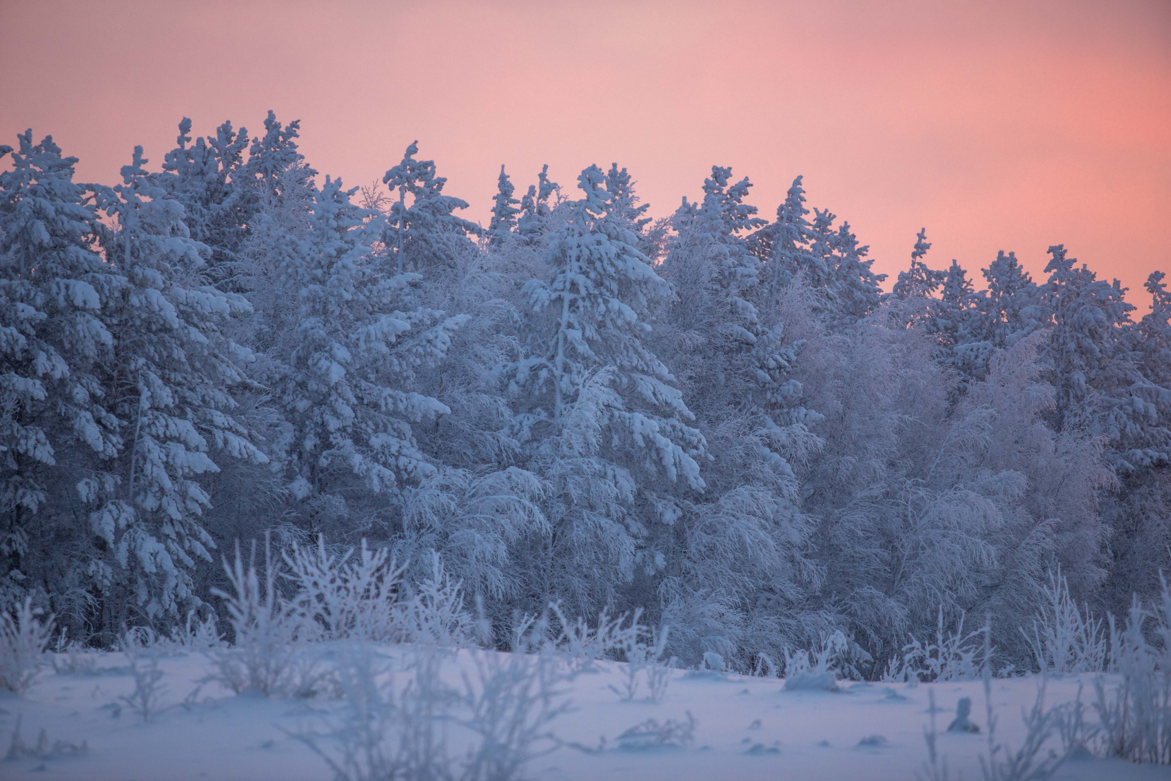 Байкал Бурятия Новый Год Огненной Лошади по Восточному п/о Святой Нос Баргузин (14/78)
