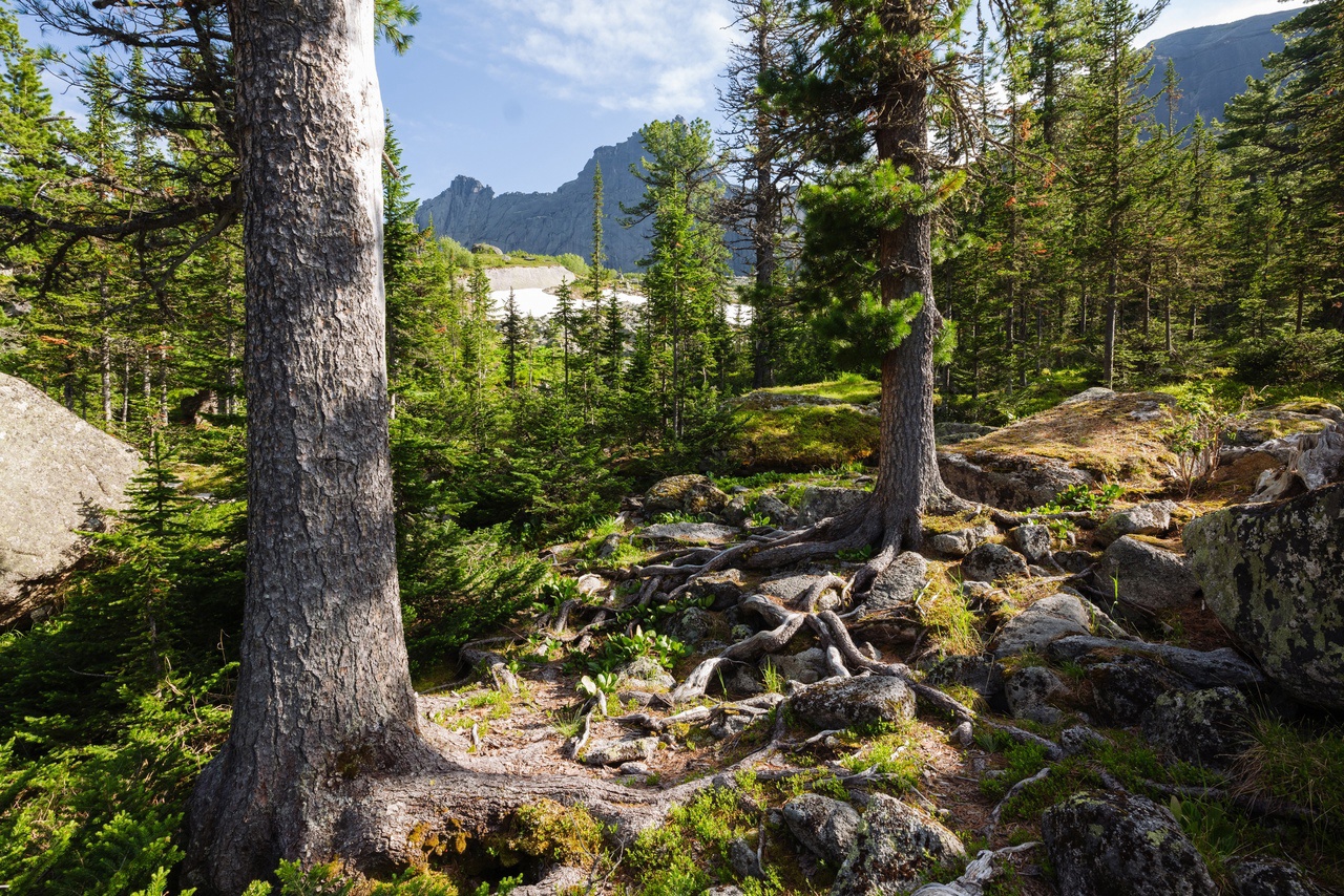 Ергаки: жемчужина Саян (19/45)