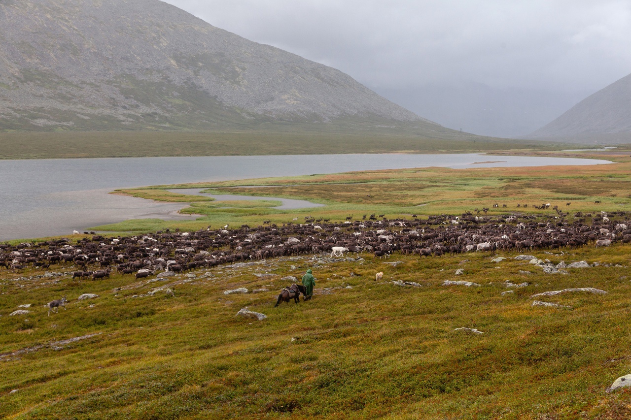 Приполярный Урал: горы Народная и Манарага (4/45)