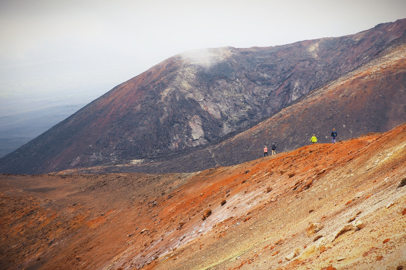 Большой поход по Камчатке: Толбачик и вулканы юга (12/46)