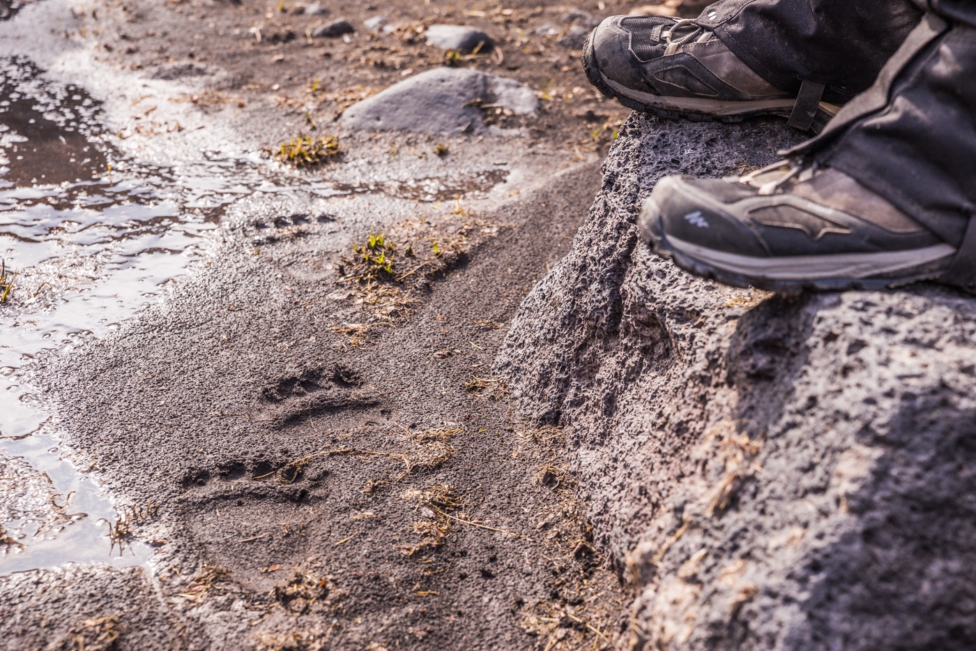 Большой поход по Камчатке: Толбачик и вулканы юга (10/46)