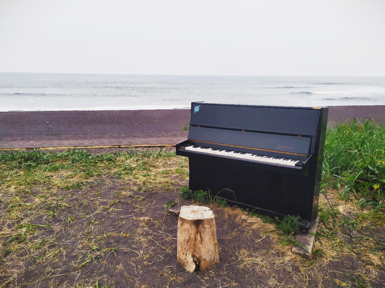 Большой поход по Камчатке: Толбачик и вулканы юга (13/46)