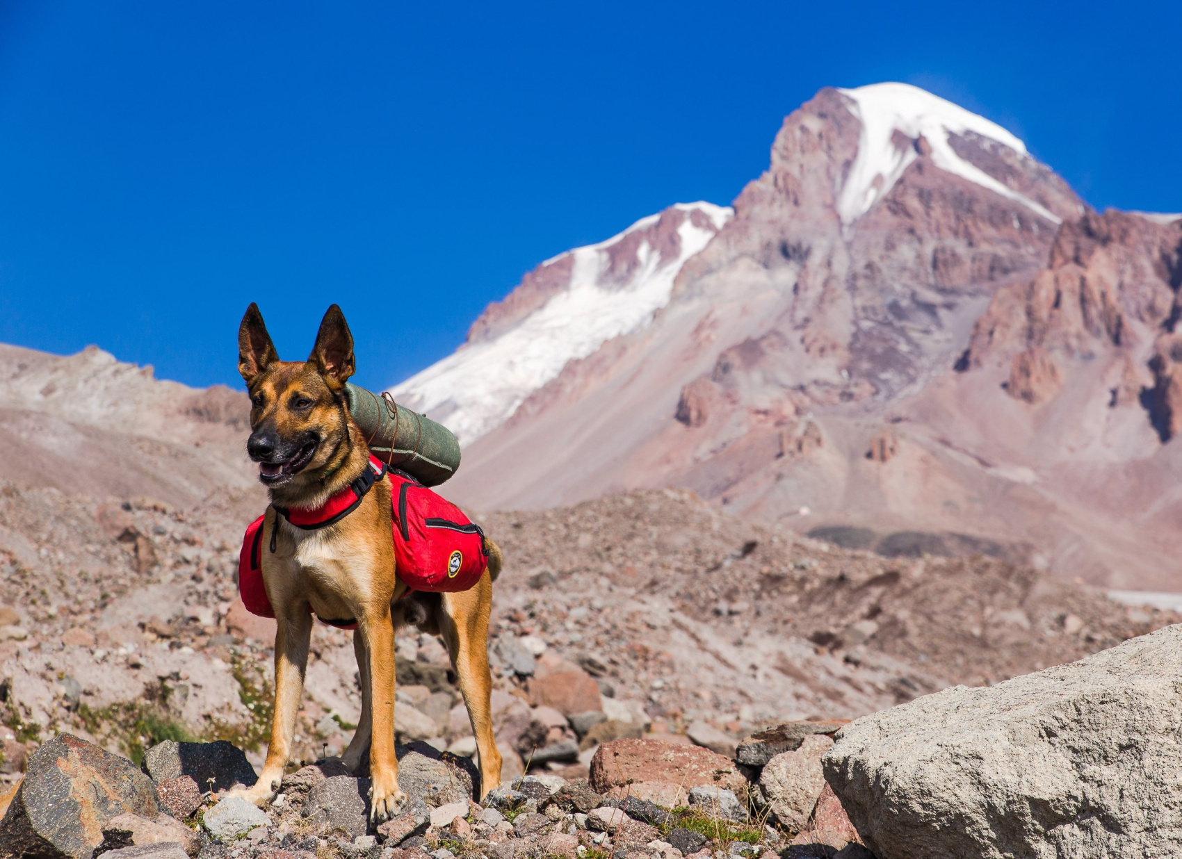 Восхождение на Казбек (10/52)
