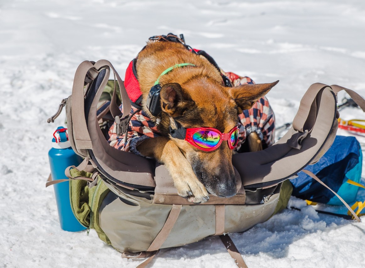 Восхождение на Казбек (25/52)