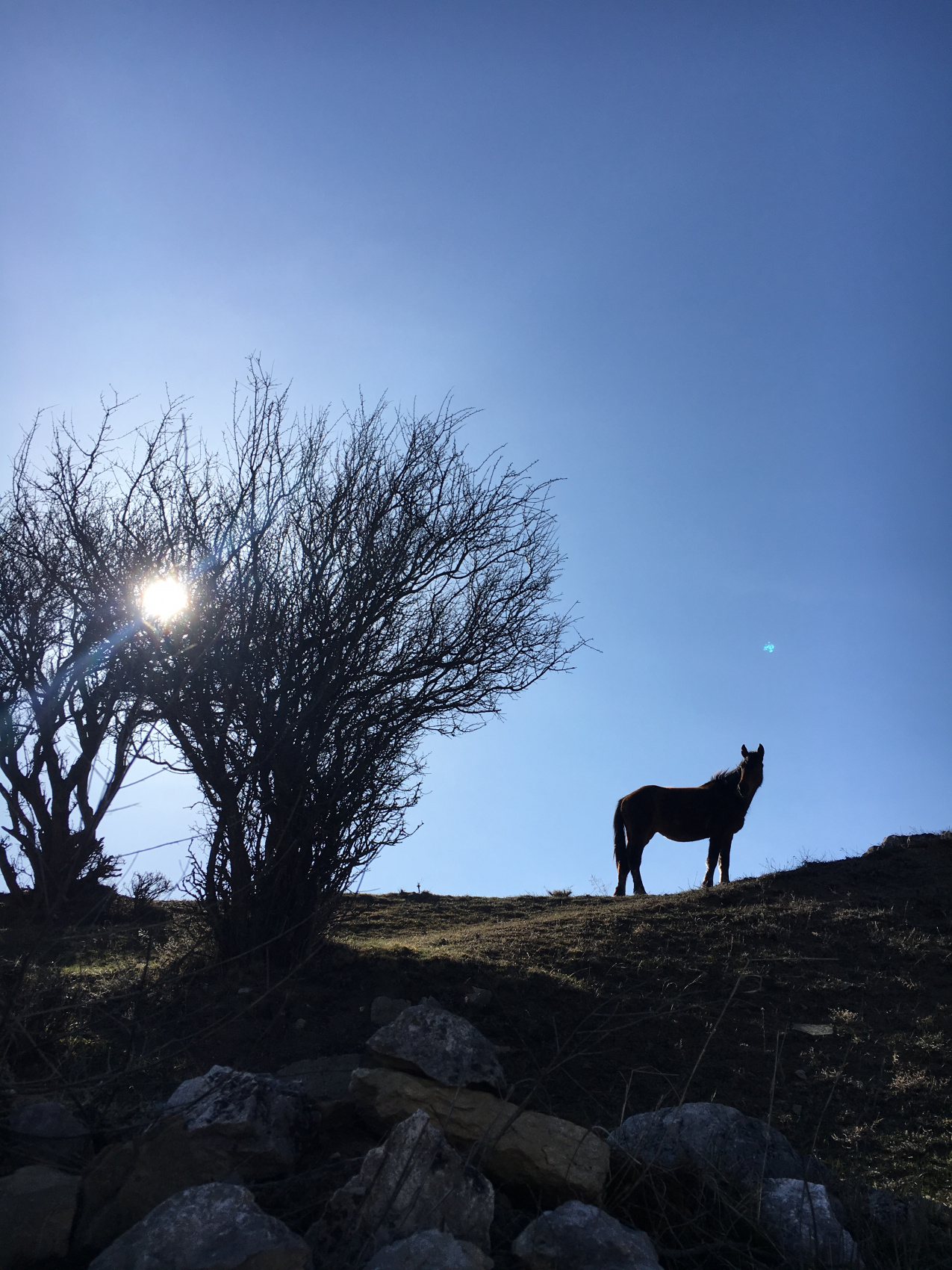 Легенды Горцев (Осетия и Ингушетия) (5/44)