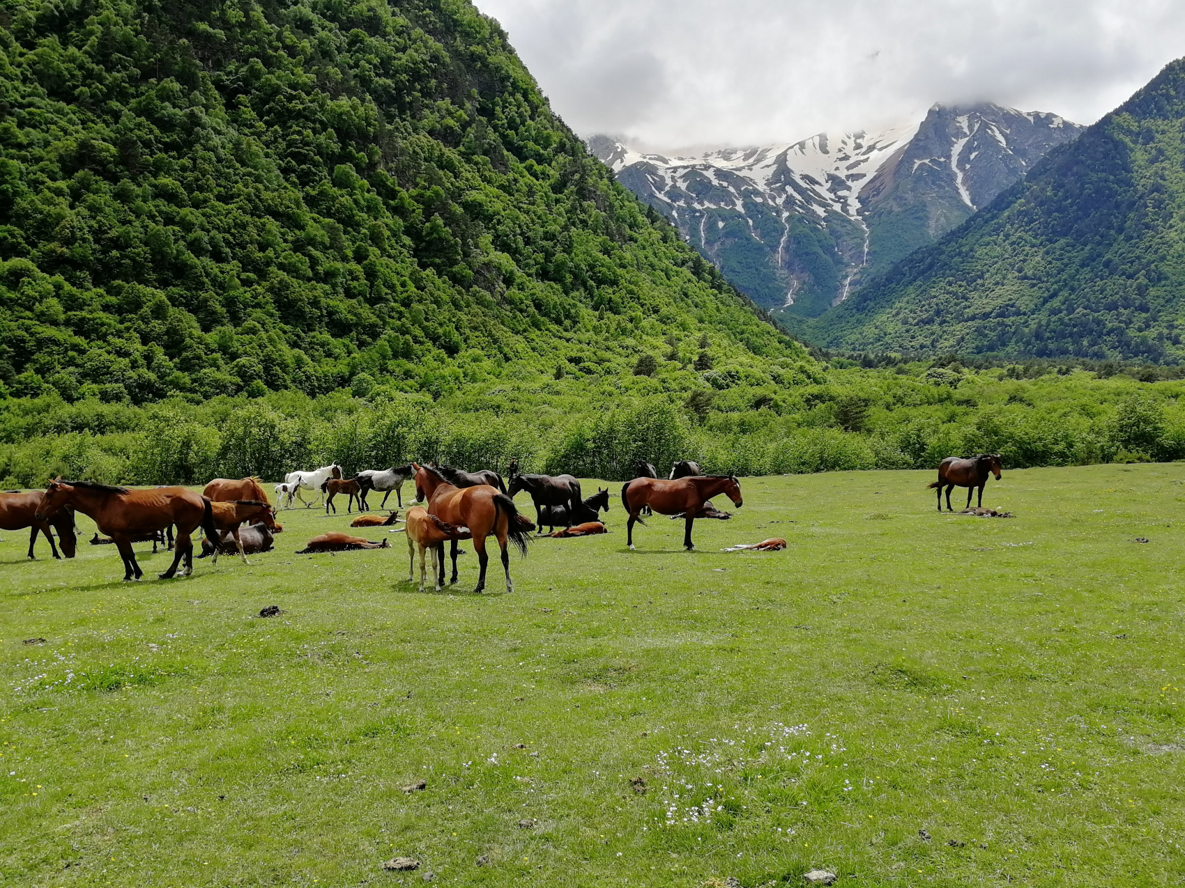Загадки кавказских ущелий (Осетия - Ингушетия) - 6 дн/5н