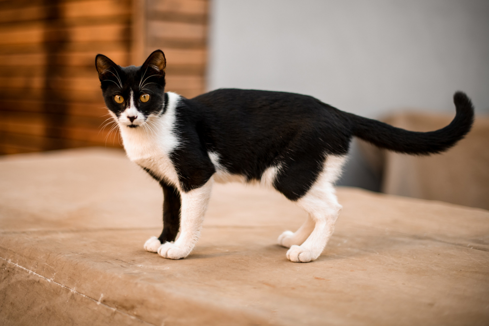 Поход по Турции Западная Ликийская тропа налегке (7/16)