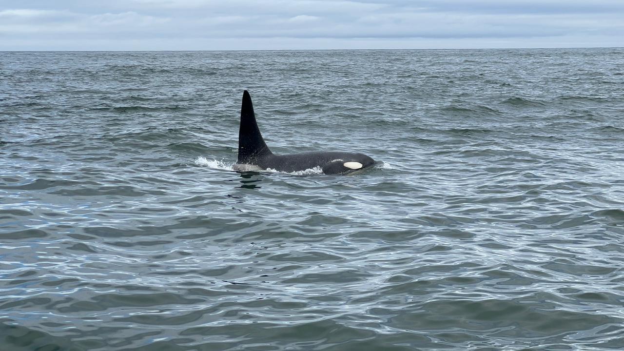 Легендарные Маршруты Камчатки (9/91)