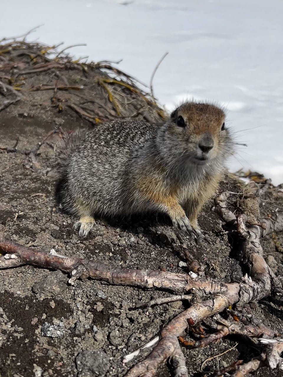 Легендарные Маршруты Камчатки (19/91)