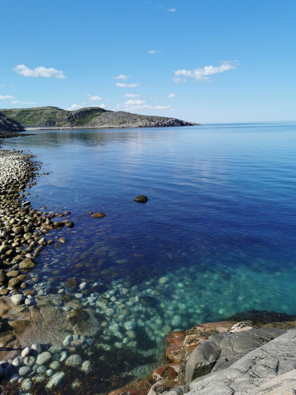 Открой для себя Арктику. Все включено, описание ниже (3/76)