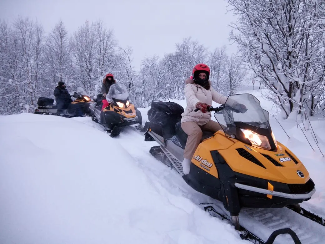 Открой для себя Арктику. Все включено, описание ниже (12/76)