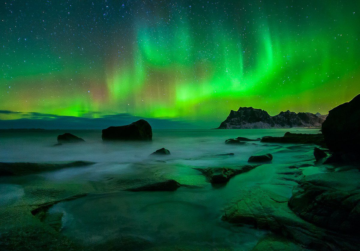 Открой для себя Арктику. Все включено, описание ниже