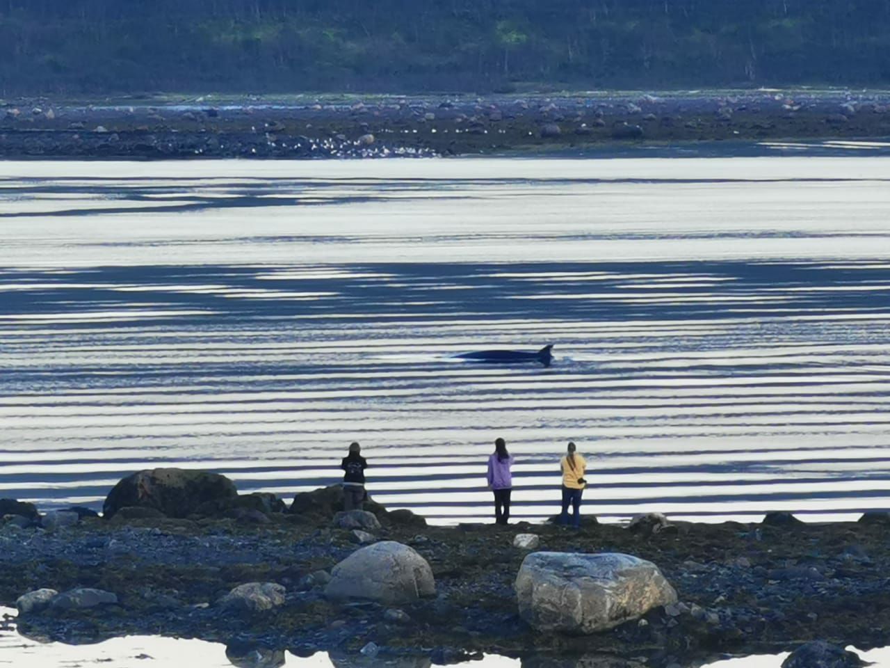 Открой для себя Арктику. Все включено, описание ниже (39/76)
