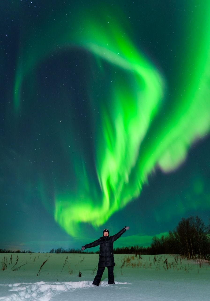 Открой для себя Арктику. Все включено, описание ниже (2/76)