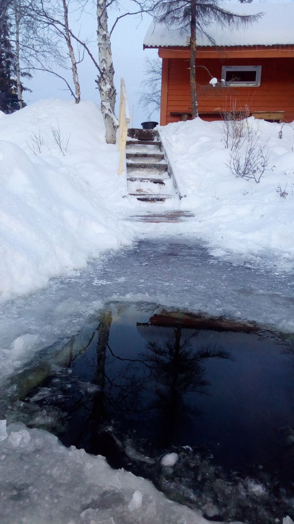 Открой для себя Арктику. Все включено, описание ниже (9/76)