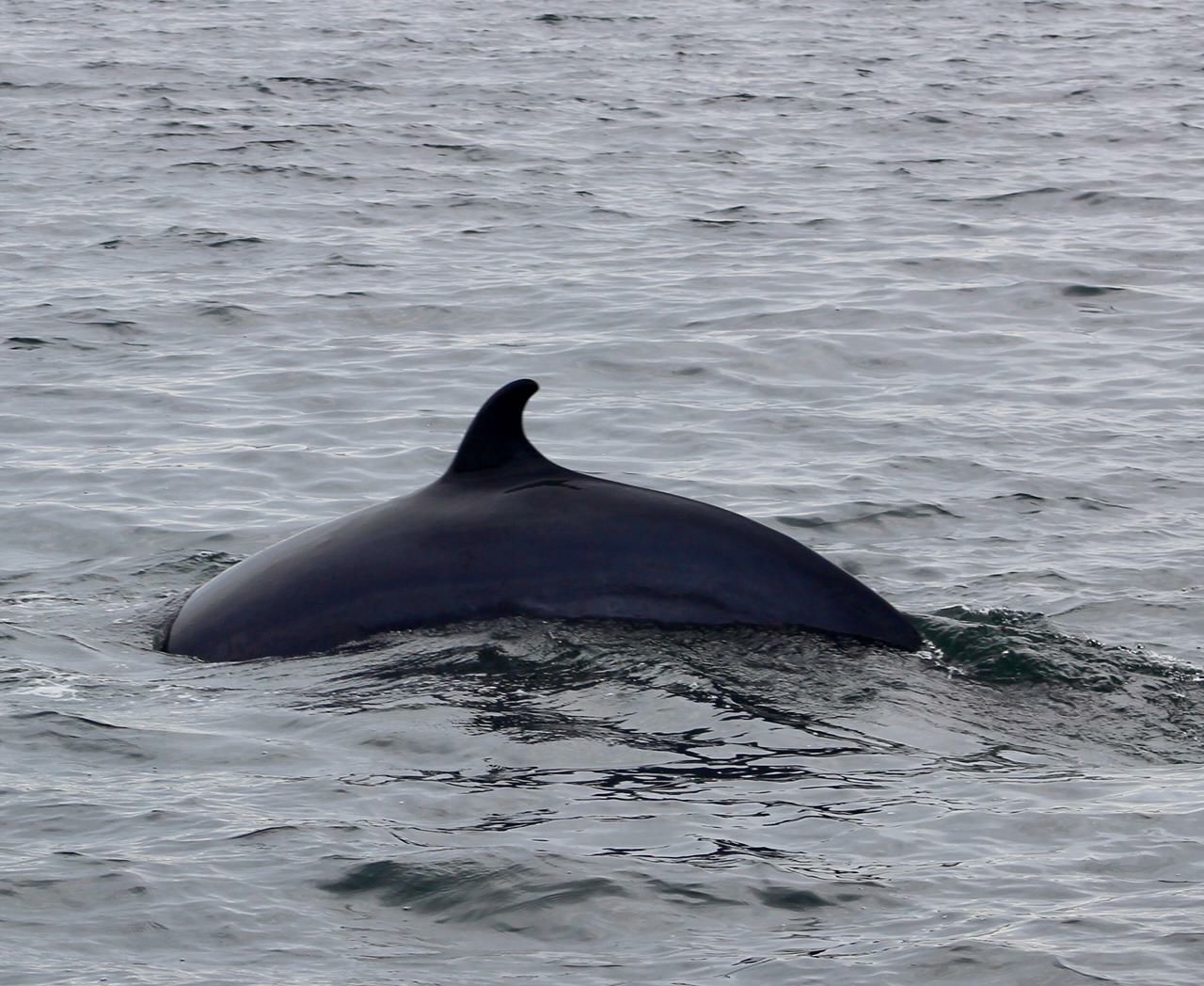 Открой для себя Арктику. Все включено, описание ниже (44/76)