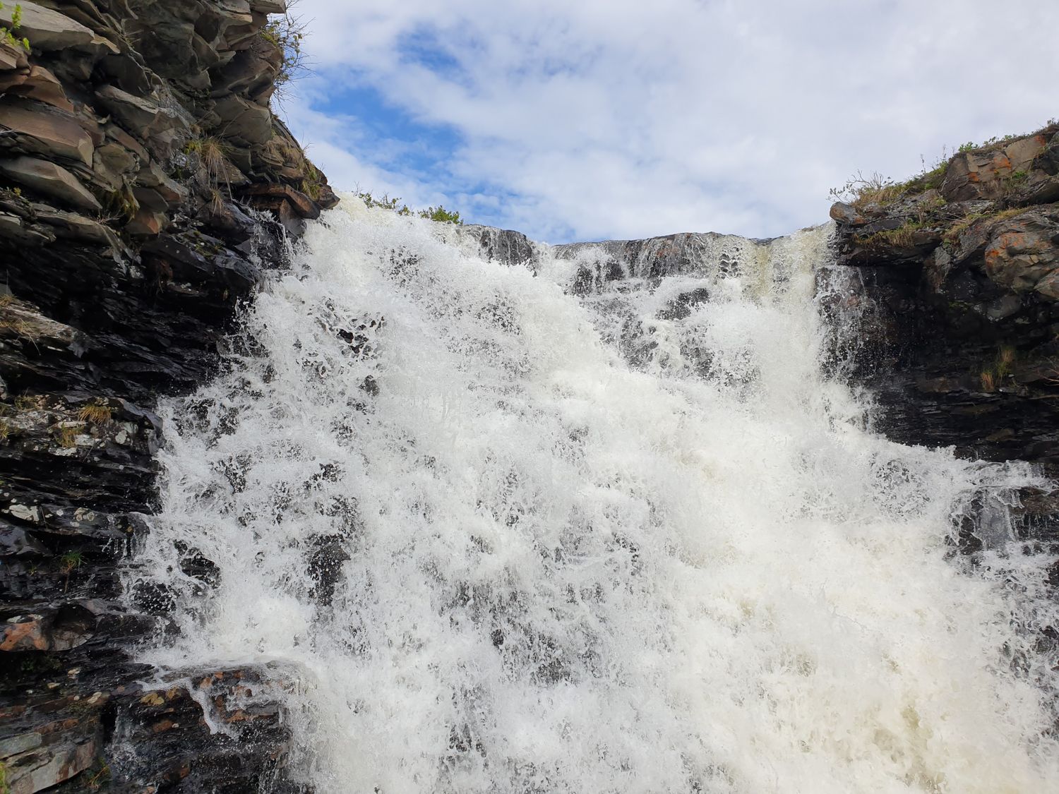 Открой для себя Арктику. Все включено, описание ниже (18/76)