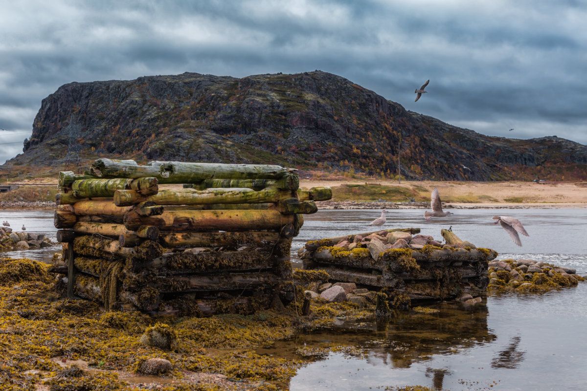 Открой для себя Арктику. Все включено, описание ниже (25/76)