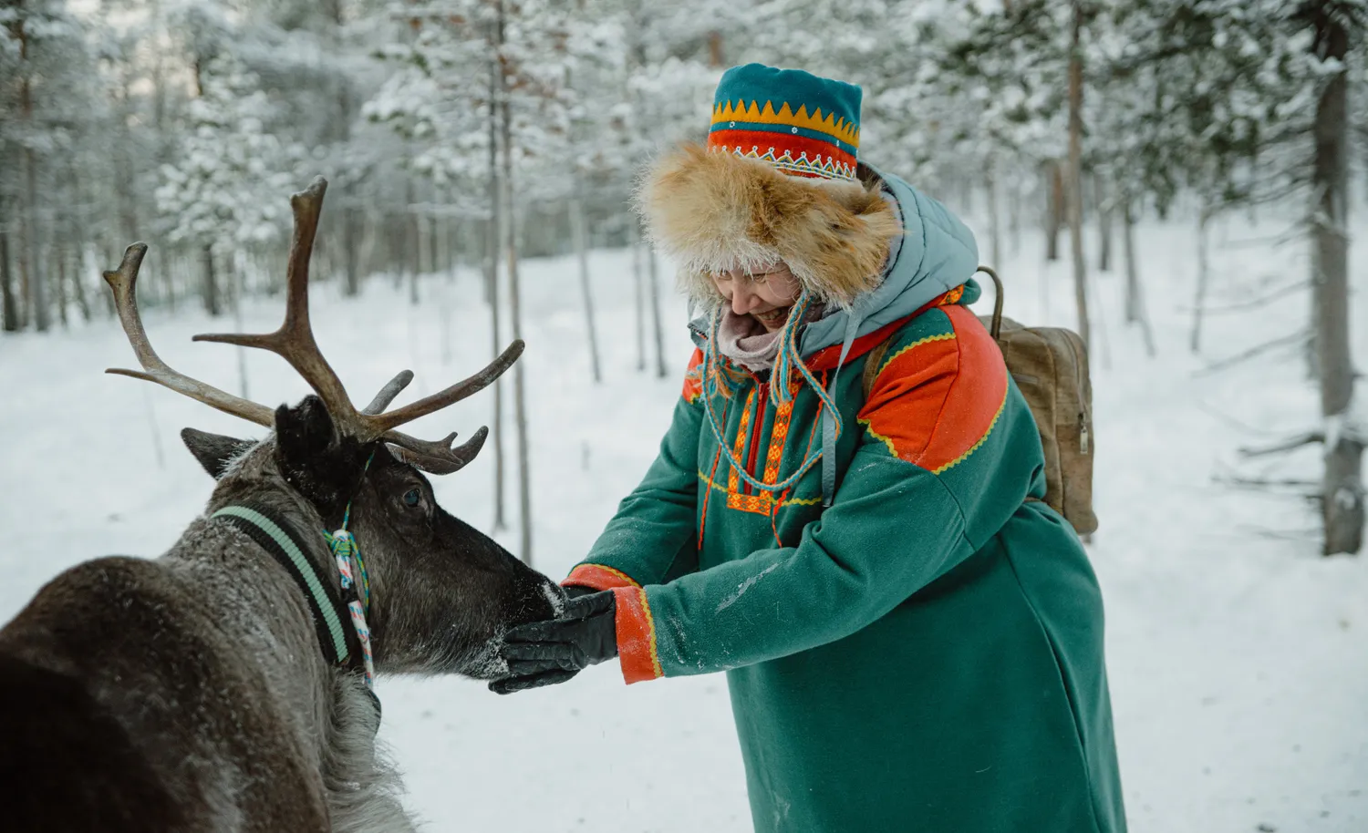 Открой для себя Арктику. Все включено, описание ниже (10/76)