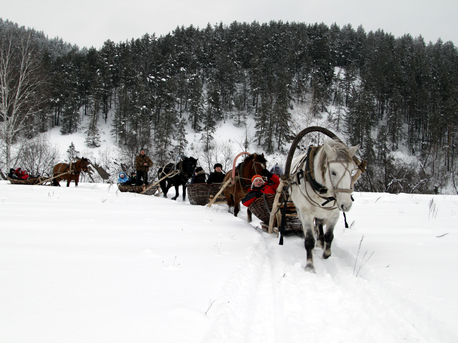 Конные сани: русская экзотика. Тур на 3 дня (4/14)