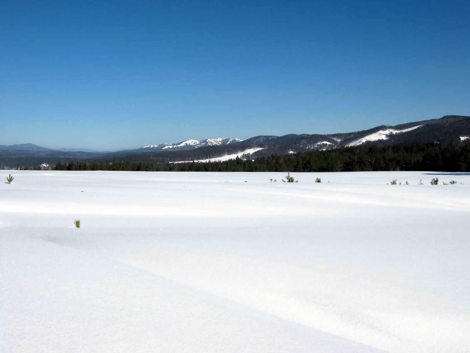 Конные сани: русская экзотика. Тур на 3 дня (9/14)