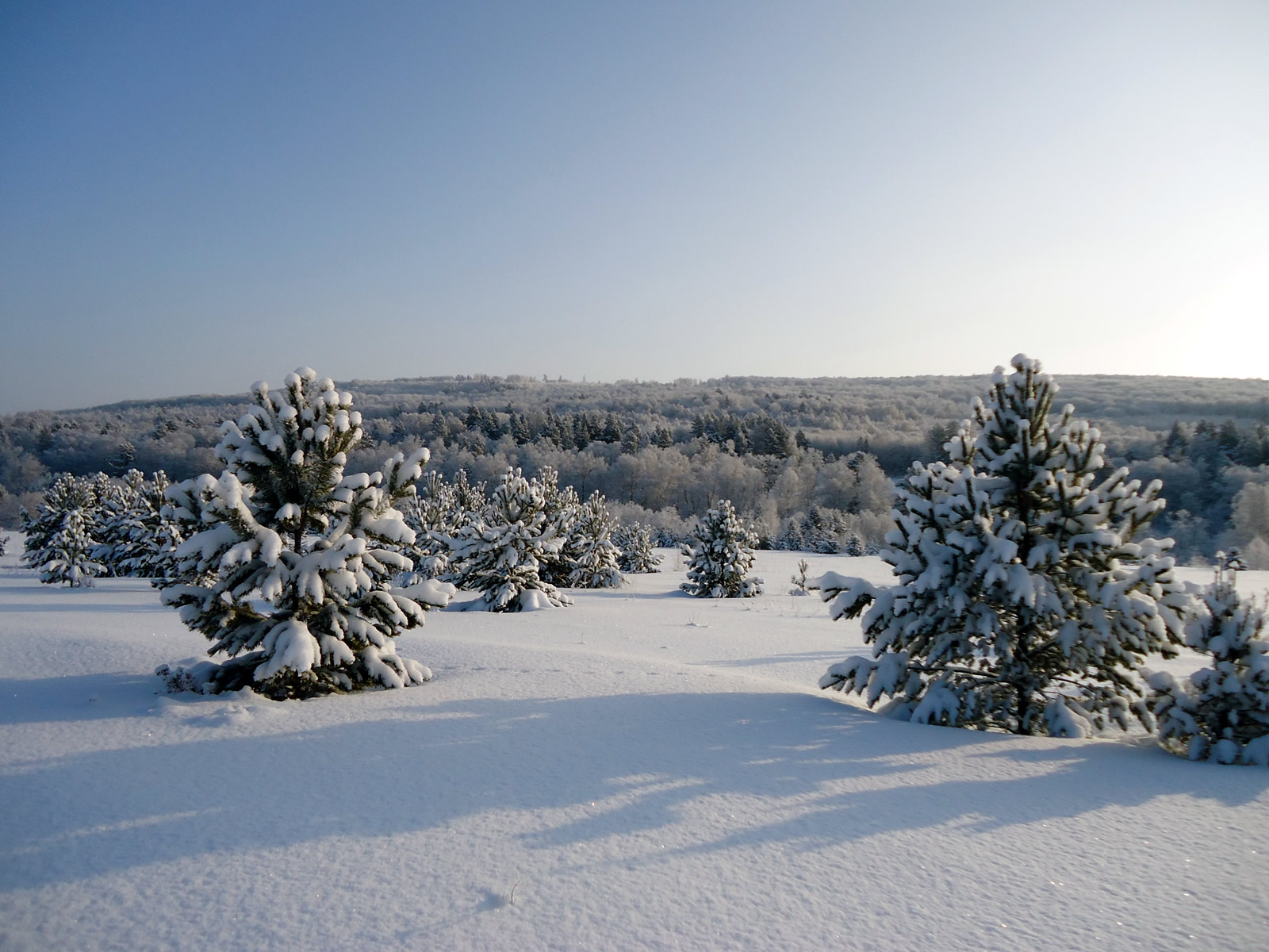 Конные сани: русская экзотика. Тур на 3 дня (8/14)