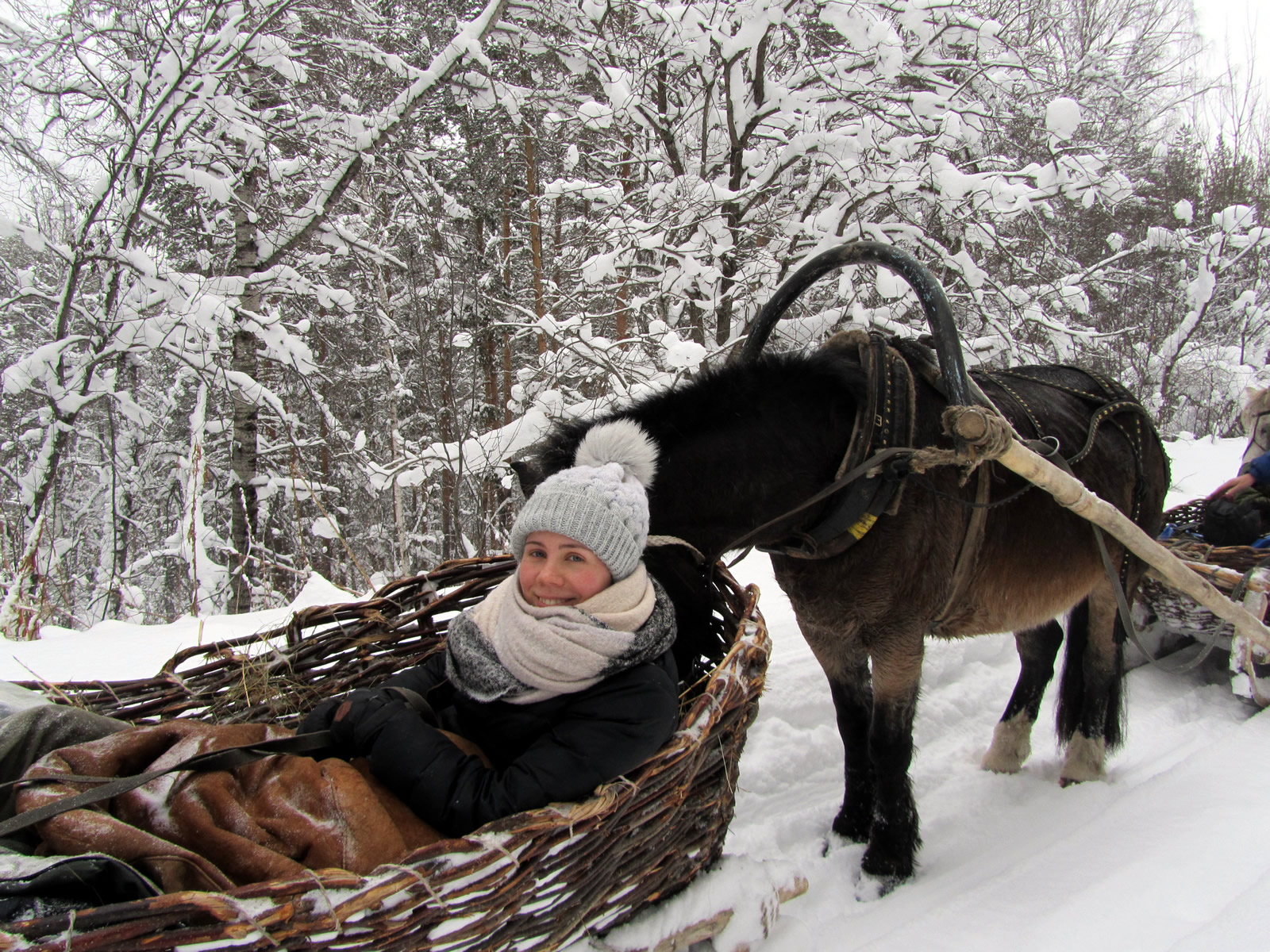Конные сани: русская экзотика. Тур на 3 дня (10/14)