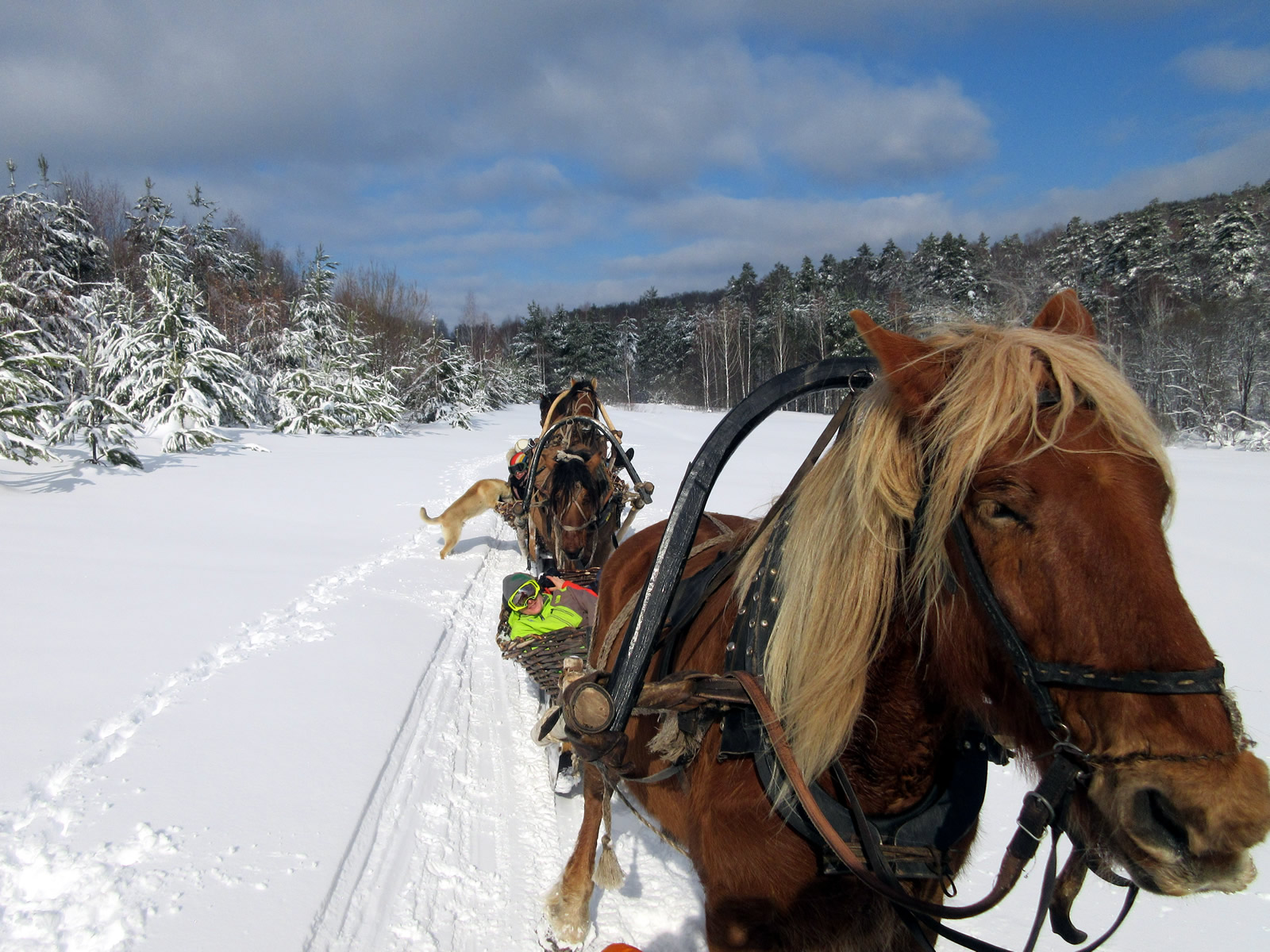 Конные сани: русская экзотика. Тур на 3 дня (2/14)