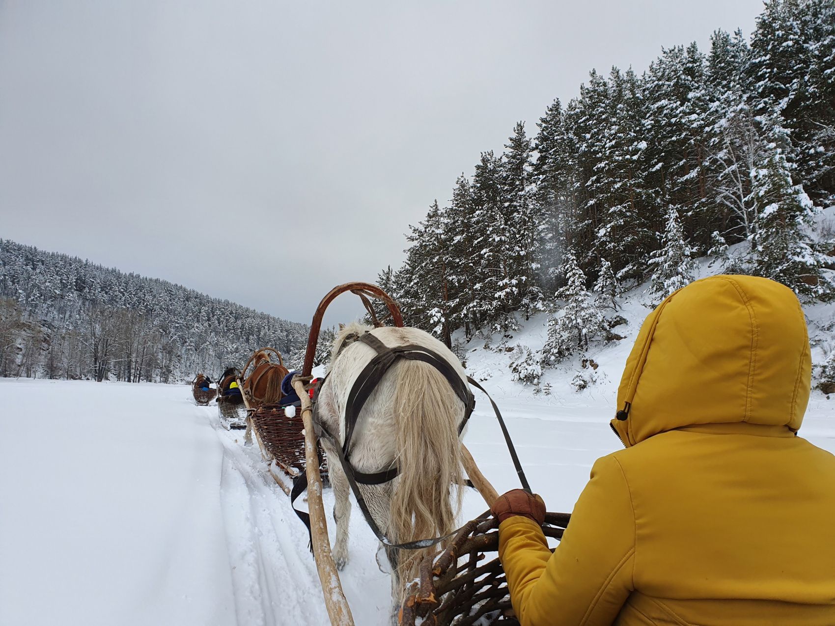 Через три заповедника Урала. 