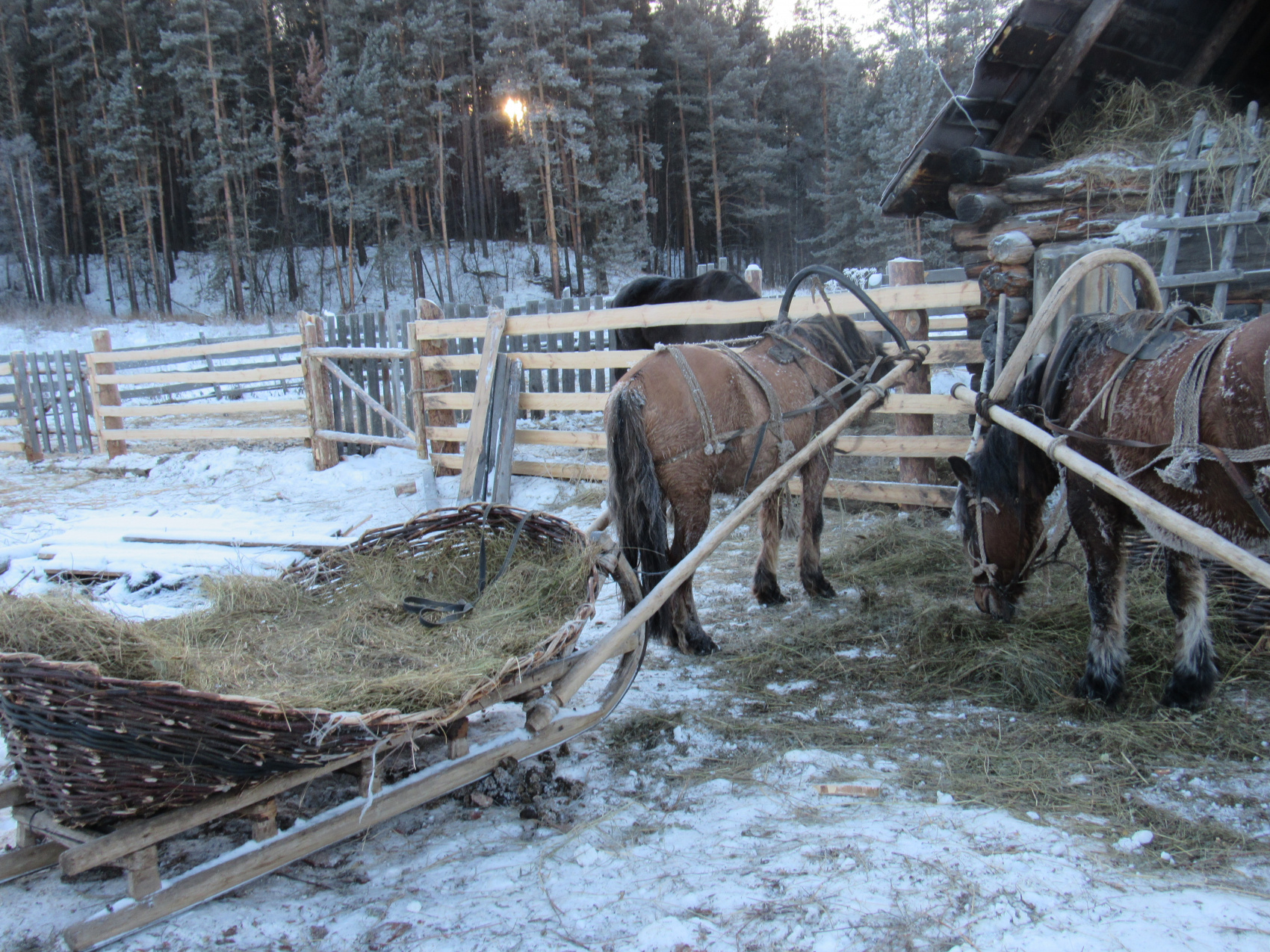 Выходные в горах. (6/11)