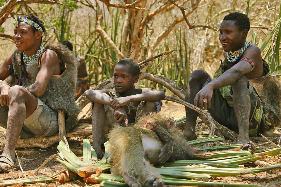 По следам африканского Адама (9/28)