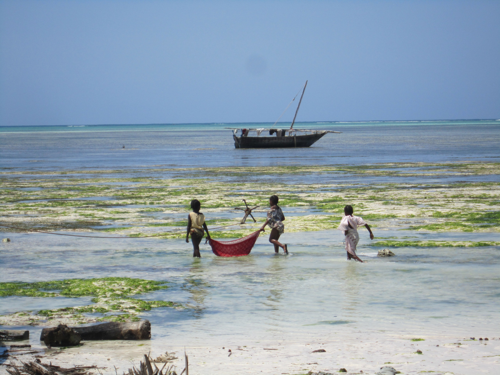 По следам африканского Адама (6/28)