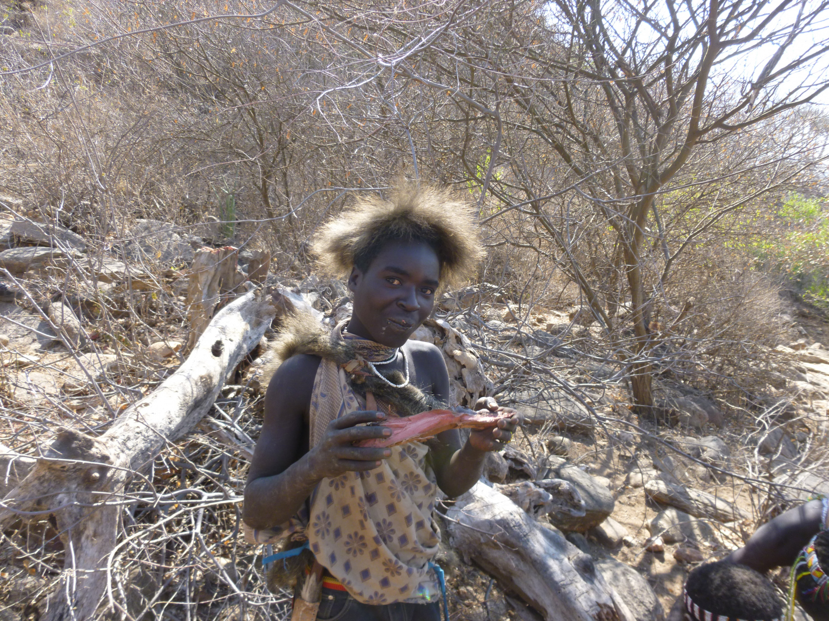 По следам африканского Адама (7/28)