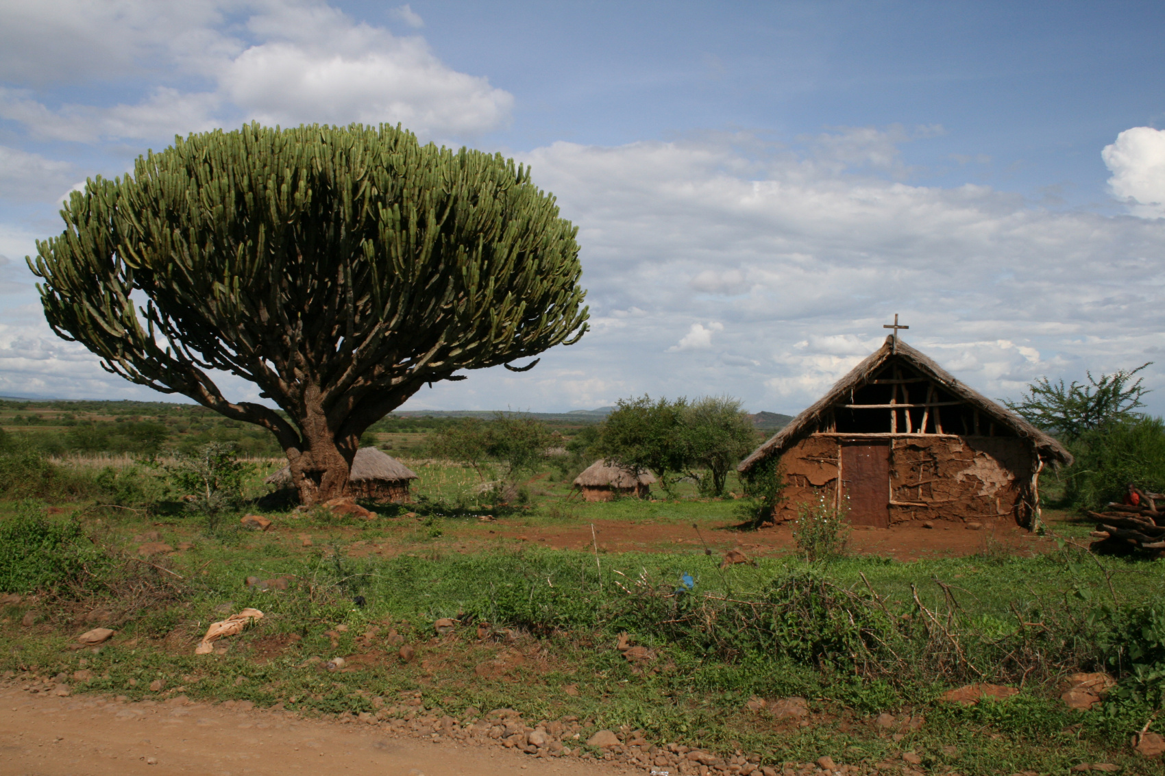 По следам африканского Адама (4/28)