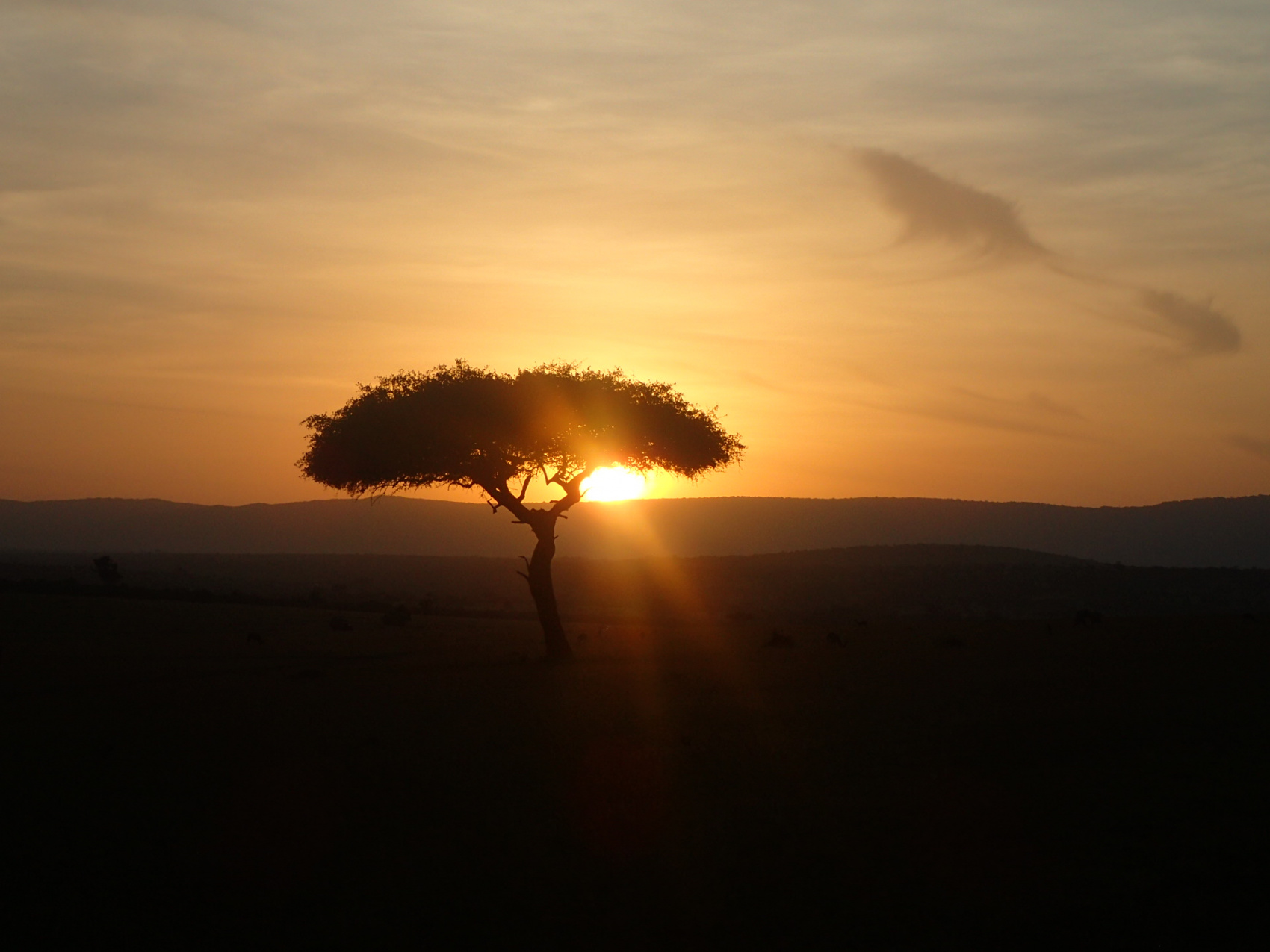 По следам африканского Адама (8/28)