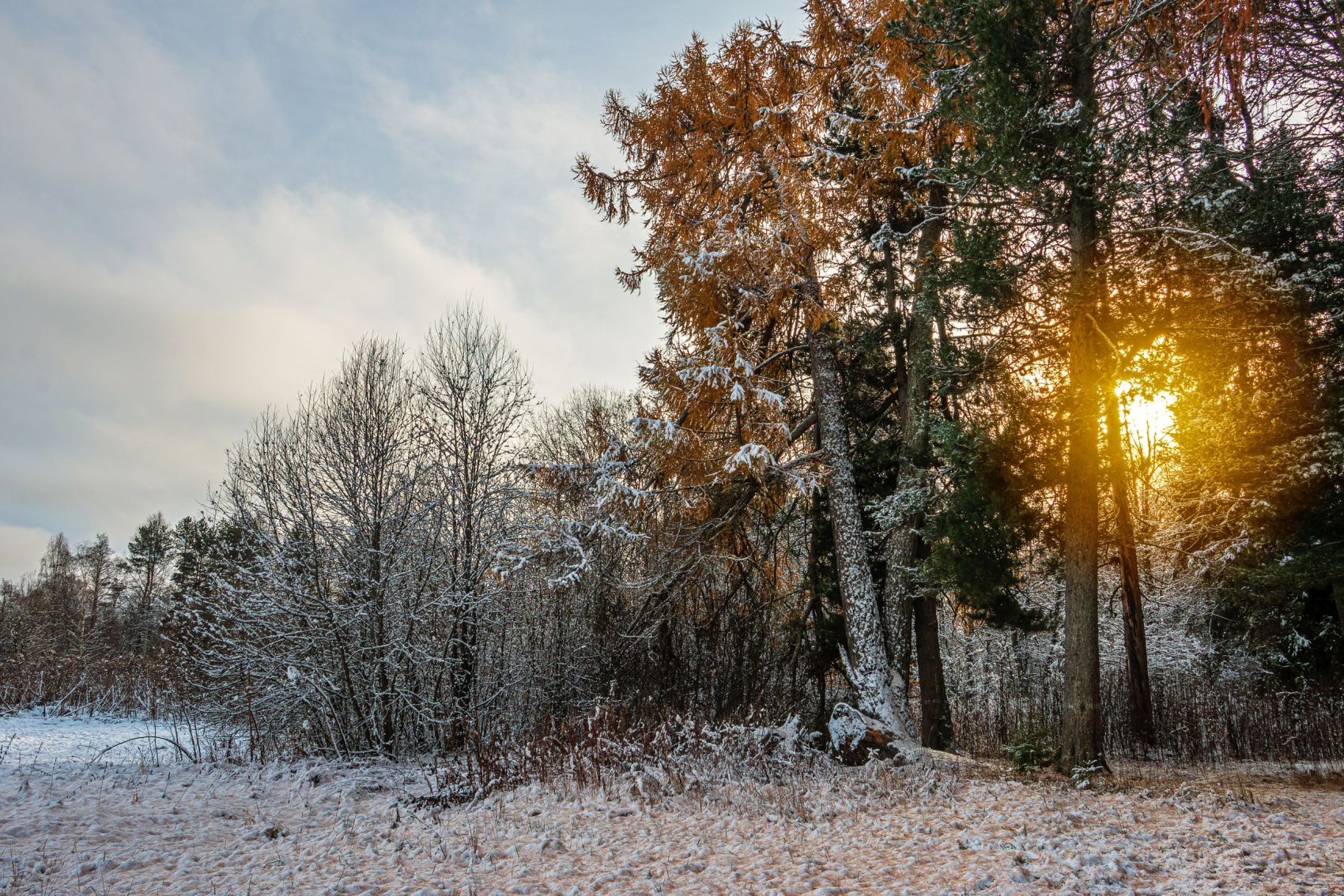 Зимние сказки Вепсского леса (2 дня / 1 ночь) (5/26)