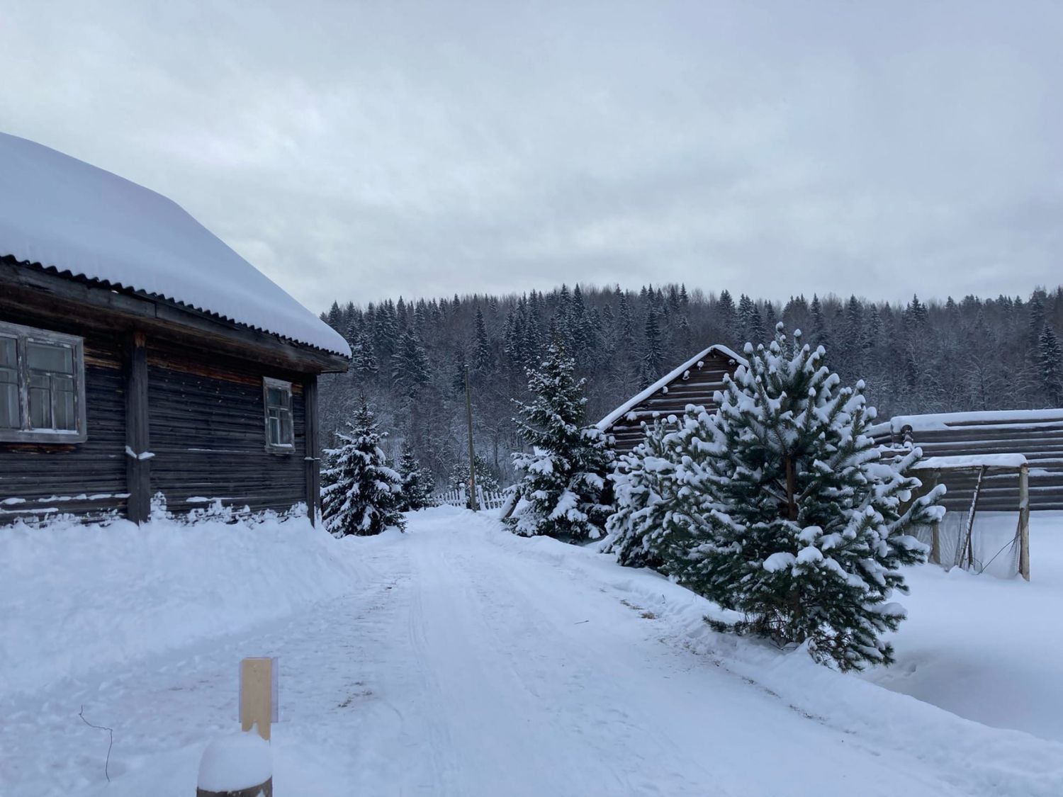 Зимние сказки Вепсского леса (2 дня / 1 ночь) (7/26)
