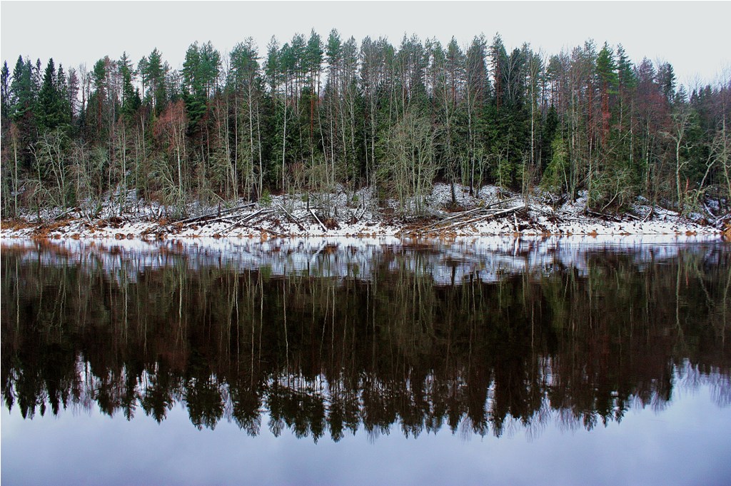 Зимние сказки Вепсского леса (2 дня / 1 ночь) (14/26)