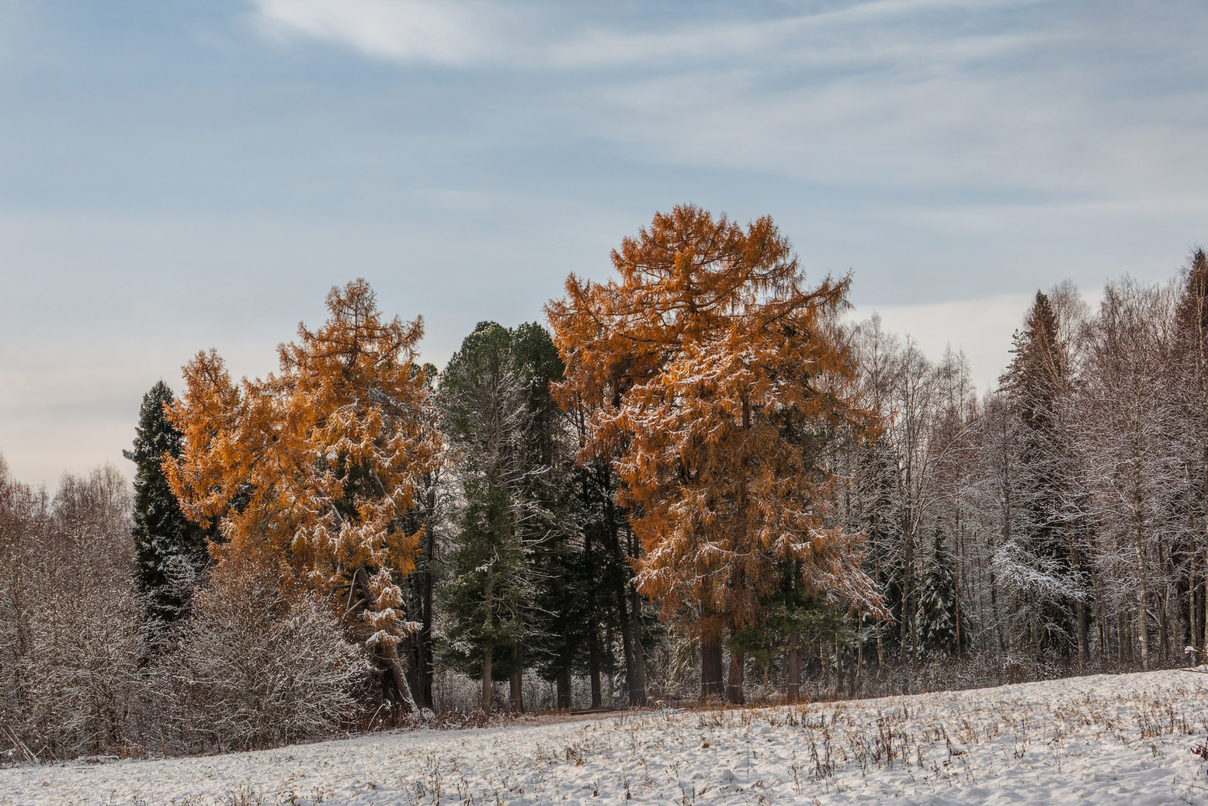 Зимние сказки Вепсского леса (2 дня / 1 ночь) (13/26)
