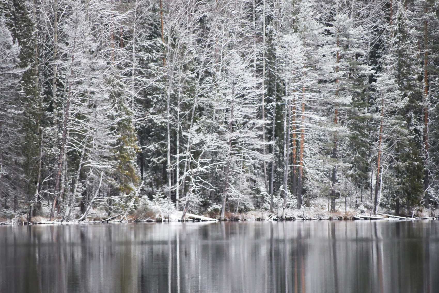 Зимние сказки Вепсского леса (2 дня / 1 ночь) (4/26)