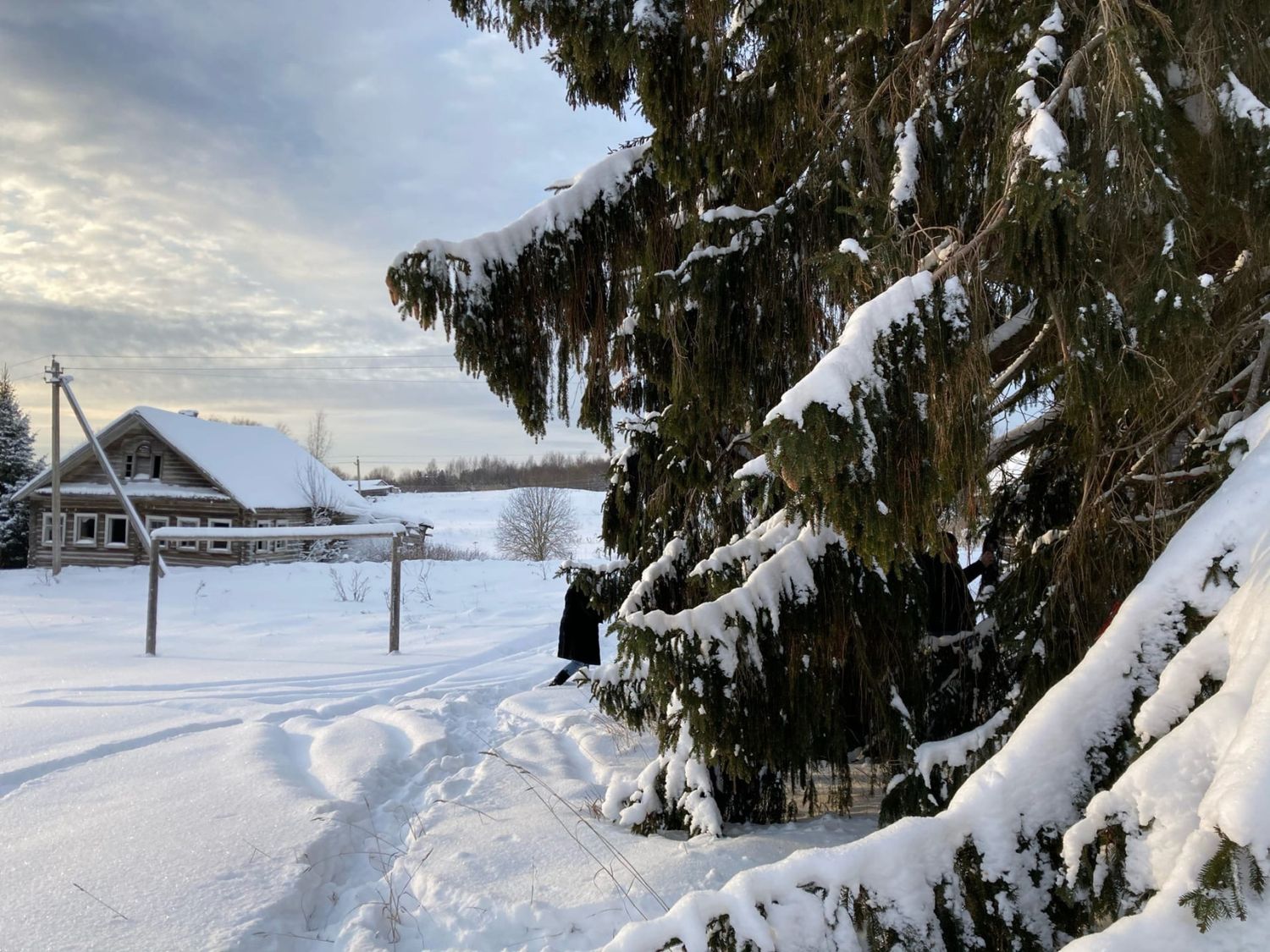 Зимние сказки Вепсского леса (2 дня / 1 ночь) (6/26)