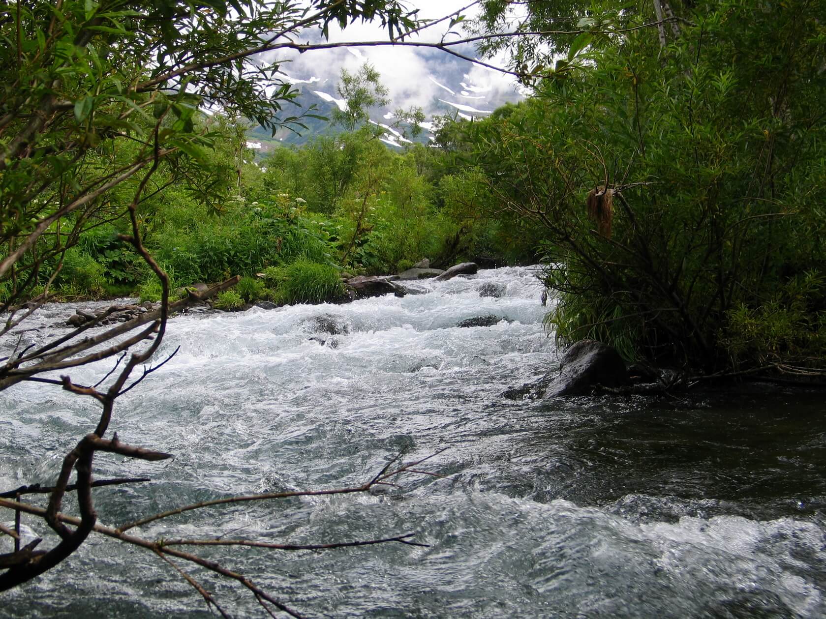 Треккинг в Налычево (поход с рюкзаками) (42/77)