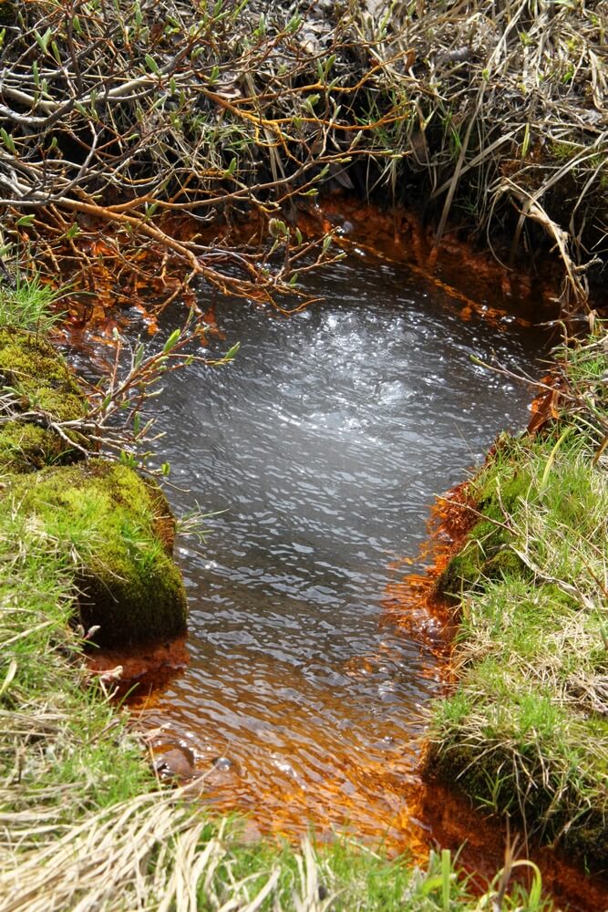 Треккинг в Налычево (поход с рюкзаками) (10/77)