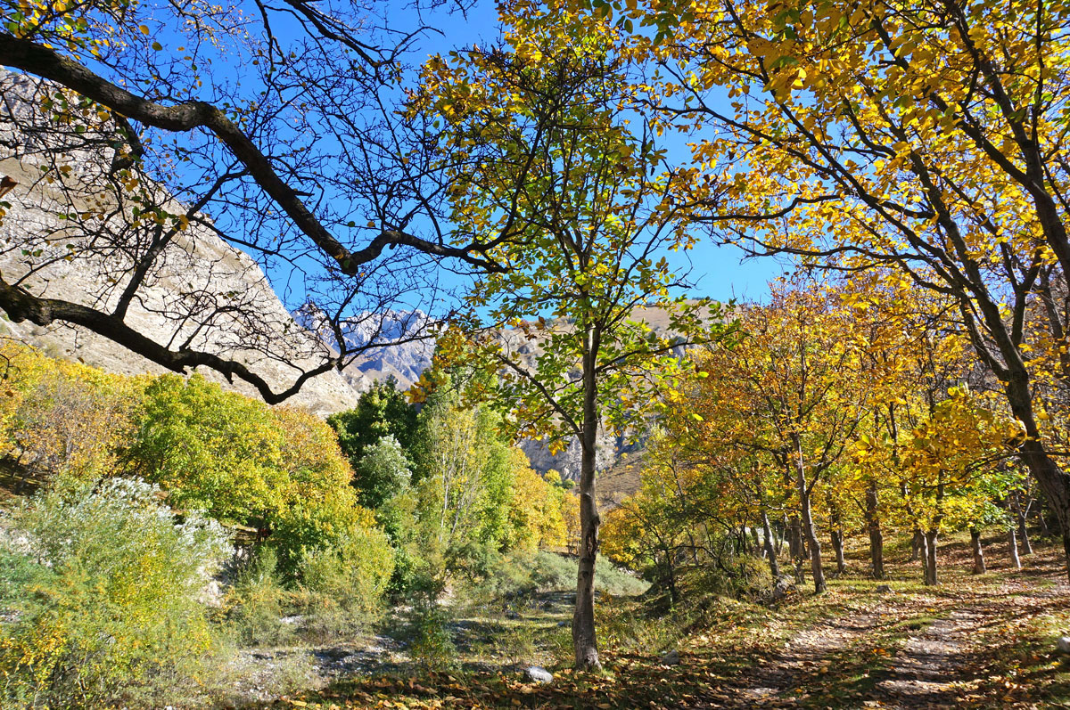 Треккинг в Ингушетии (всё включено). (38/108)